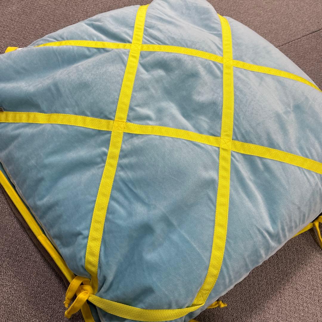 ペティオ ビーズベッド ビーズクッション 中サイズ