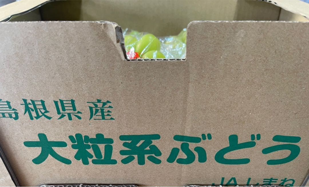 ⑤【島根県産】シャインマスカット約5キロ(8房)