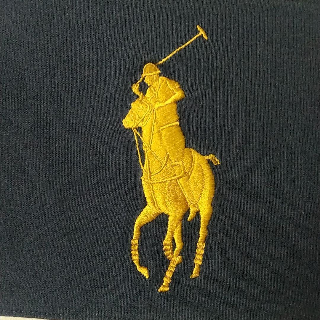 希少☆ポロバイラルフローレン 太ボーダー 刺繍 ビッグポニー ラガーシャツ 3L
