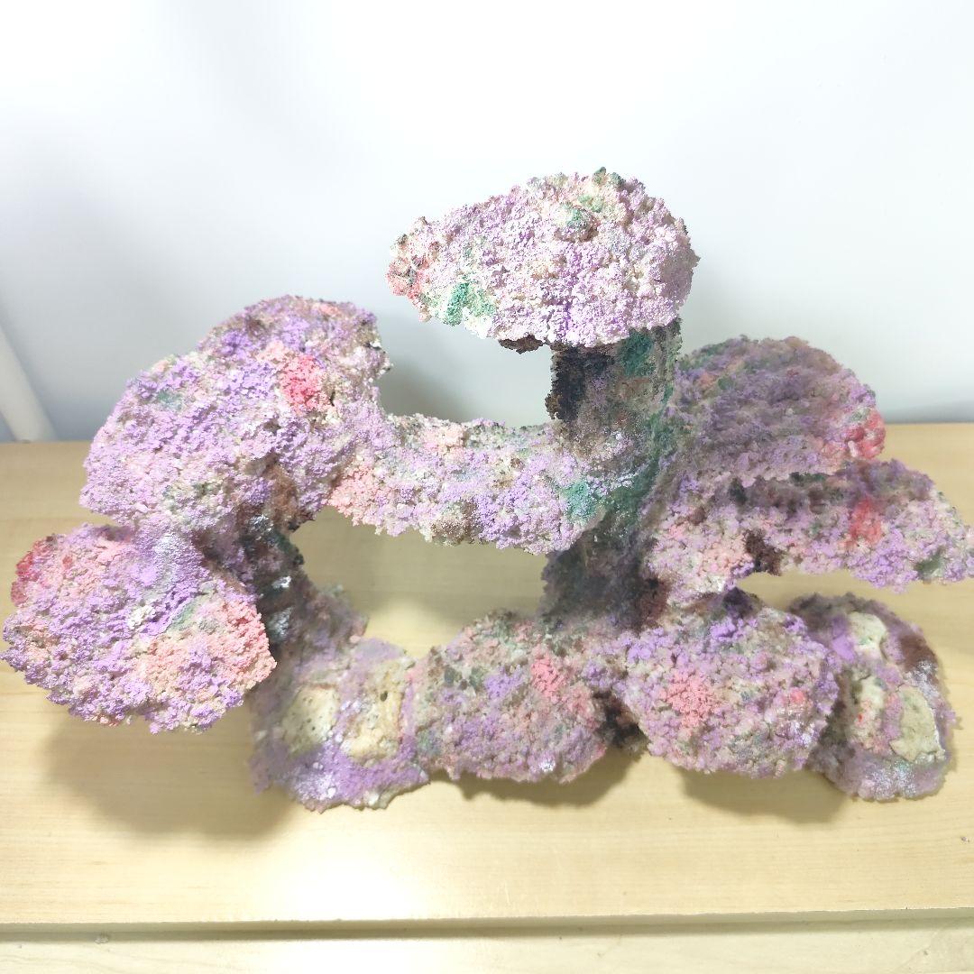 ❖新品アク抜き不要 人工ライブロック 60cm海水水槽用 レプリカ 多孔質安い1