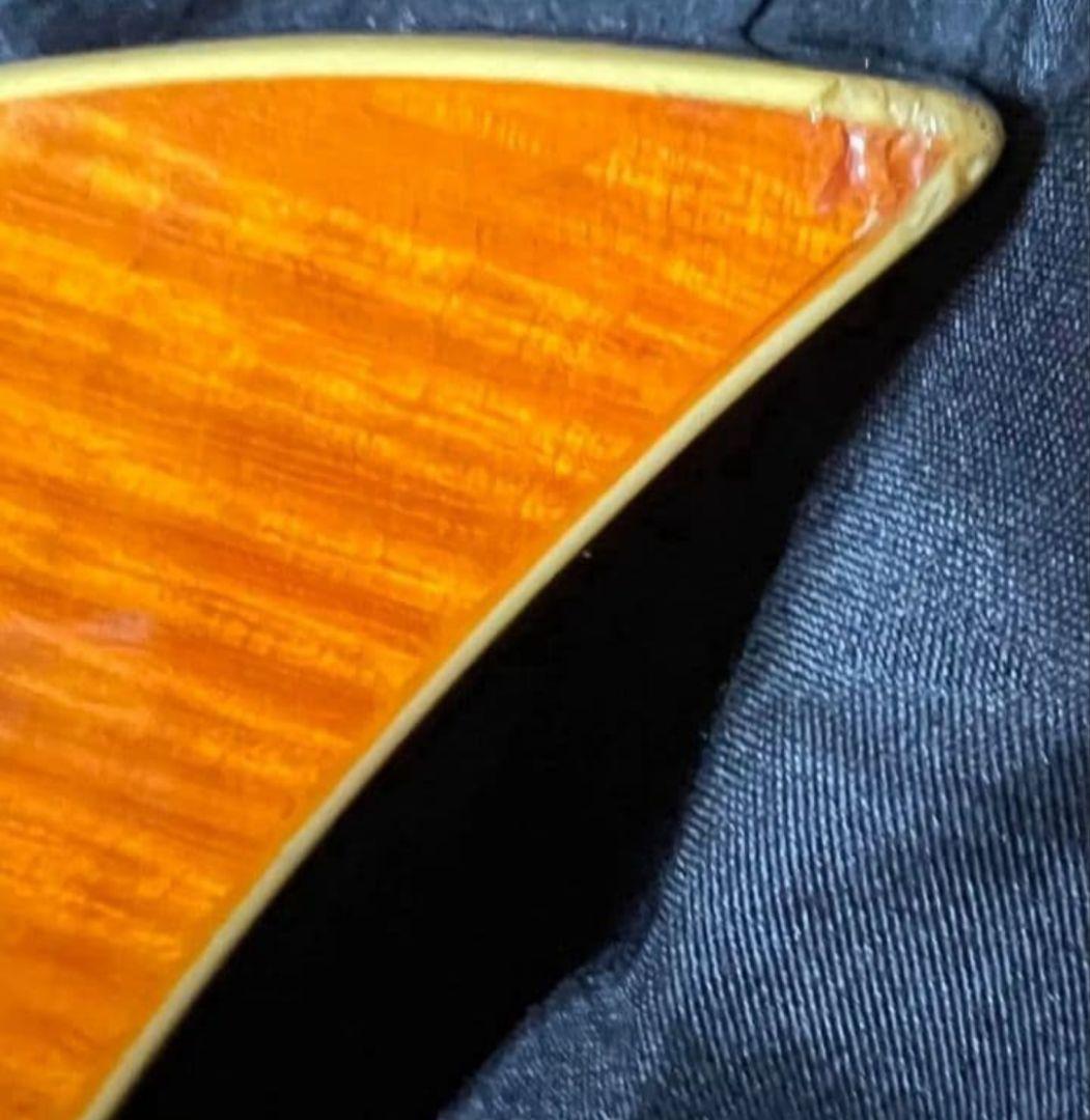 【fernandes】Ravelle Dx