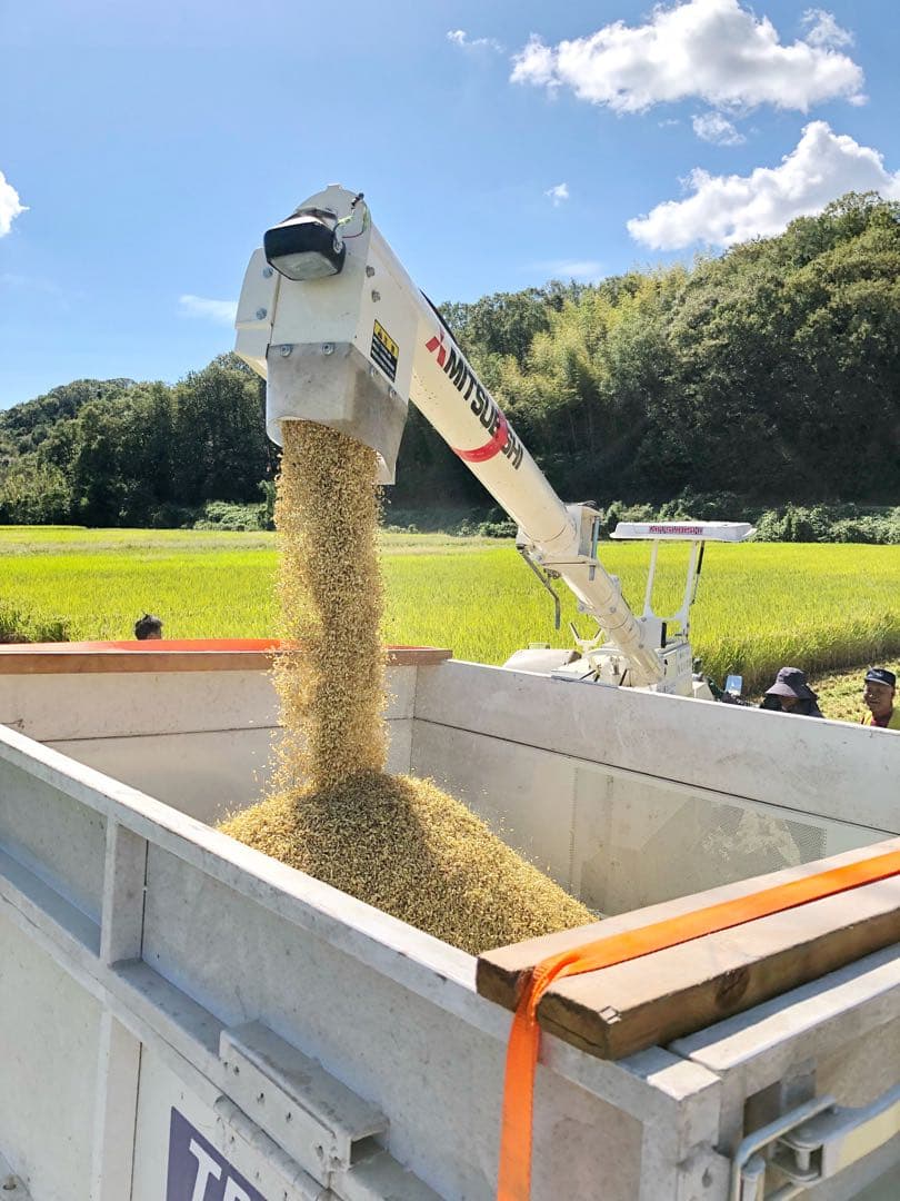 農家直送の美味しいお米 令和7年度産 ヒノヒカリ 15キロ