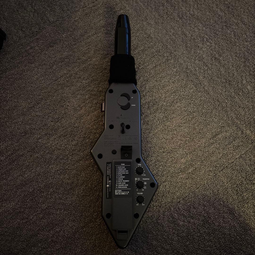 Roland AE-10 ローランド