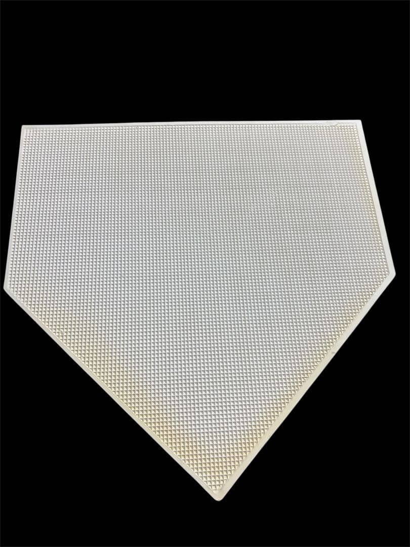 信濃グランセローズ　初シーズン終了記念　全選手サイン入りホームベース