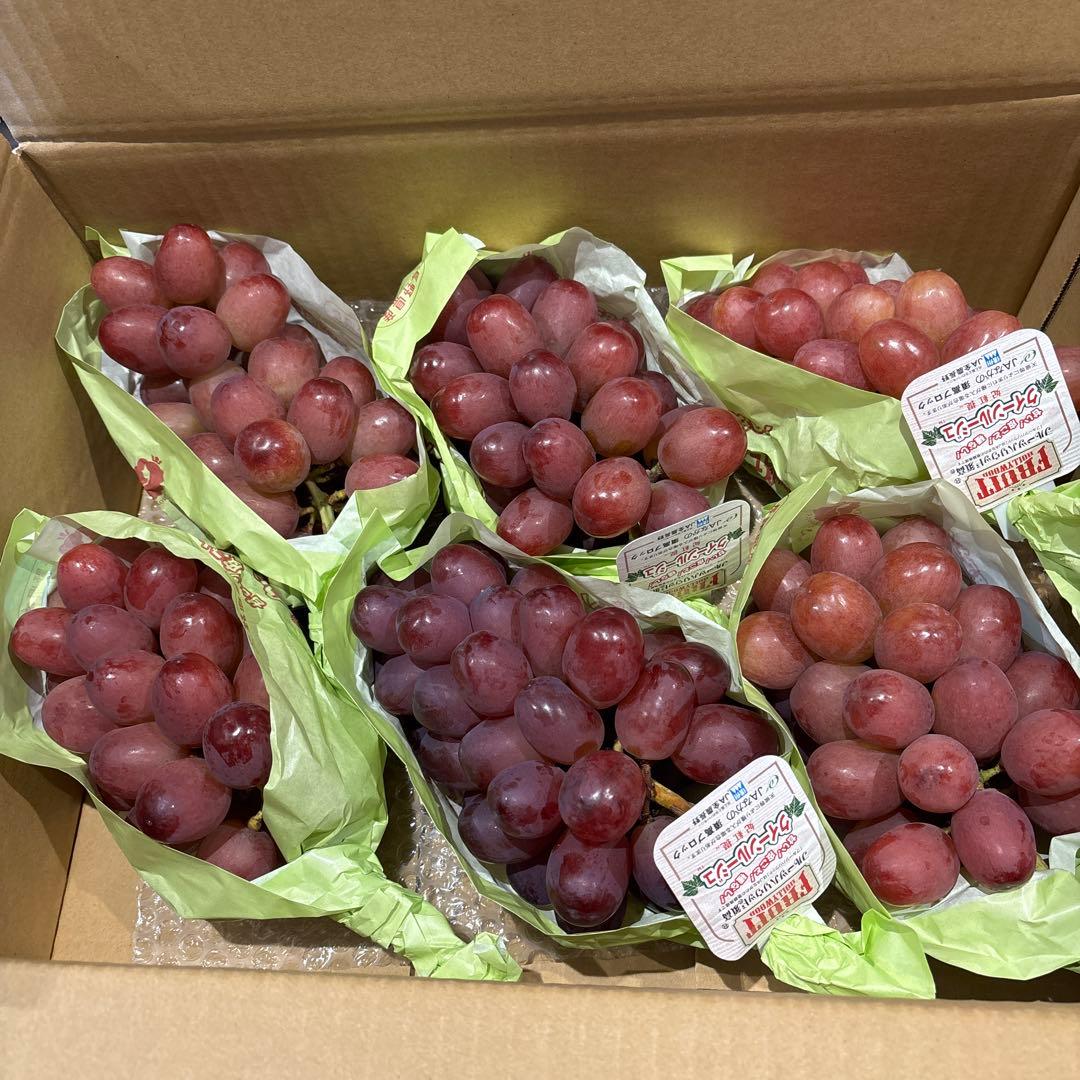 マユリ様 クイーンルージュ3kg