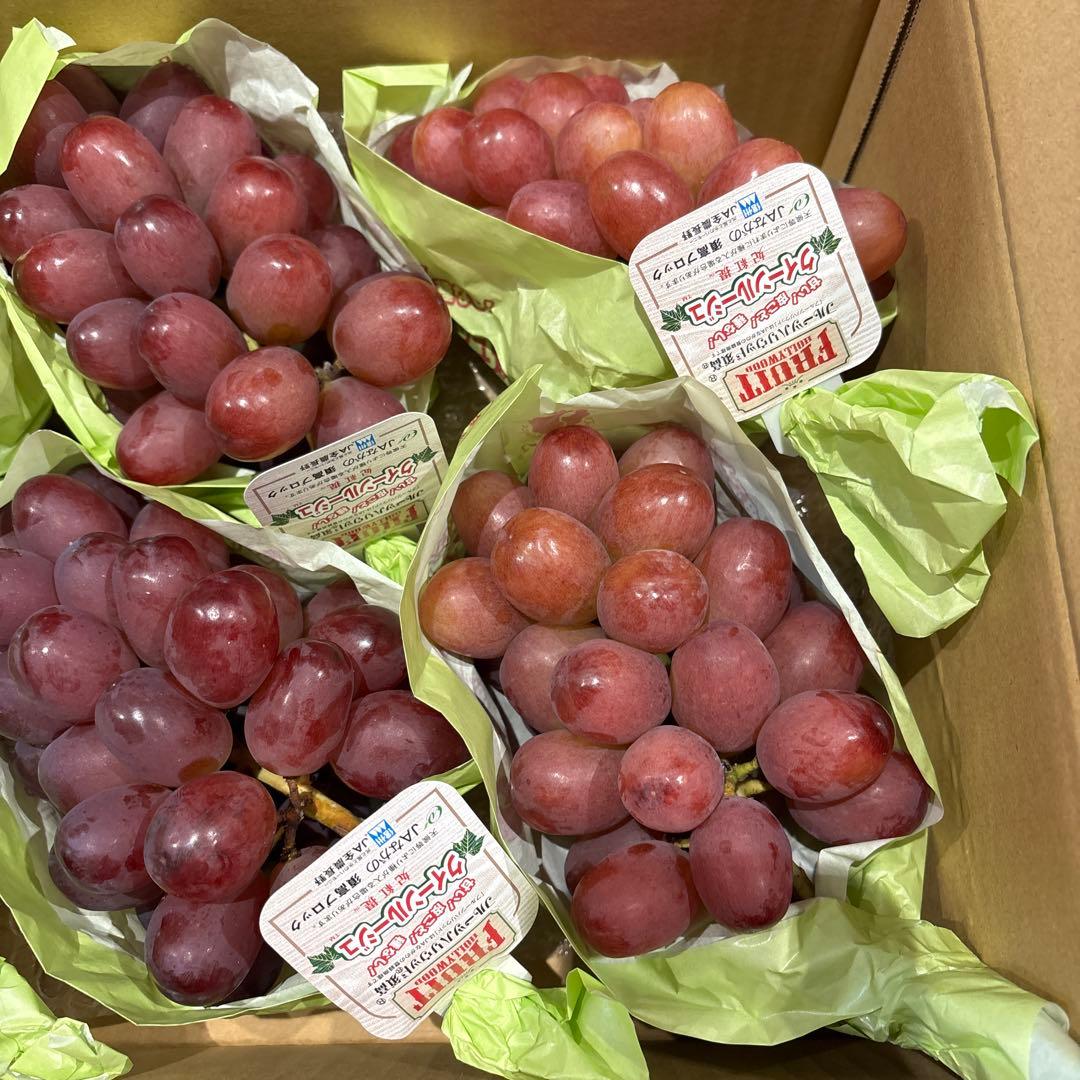 マユリ様 クイーンルージュ3kg