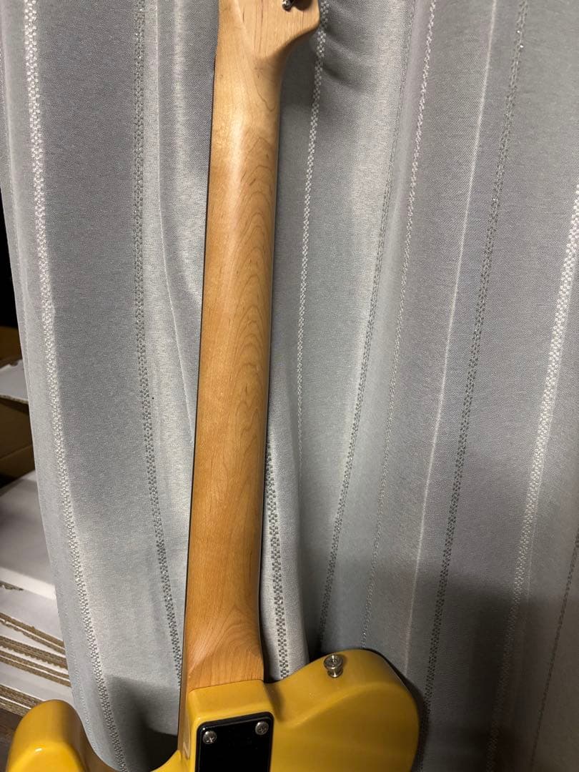 Bucchus universe series テレキャスター エレキギター