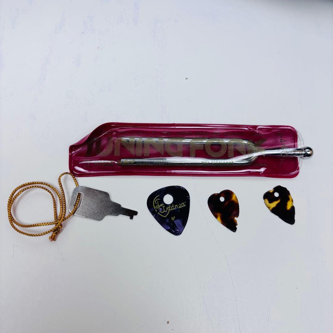 【美品】SUZUKI マンドリン　M-30 ハードケース付