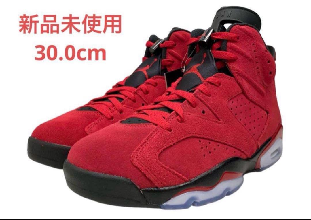 新品　NIKE ナイキ　AIR JORDAN 6 RETRO トロブラボー