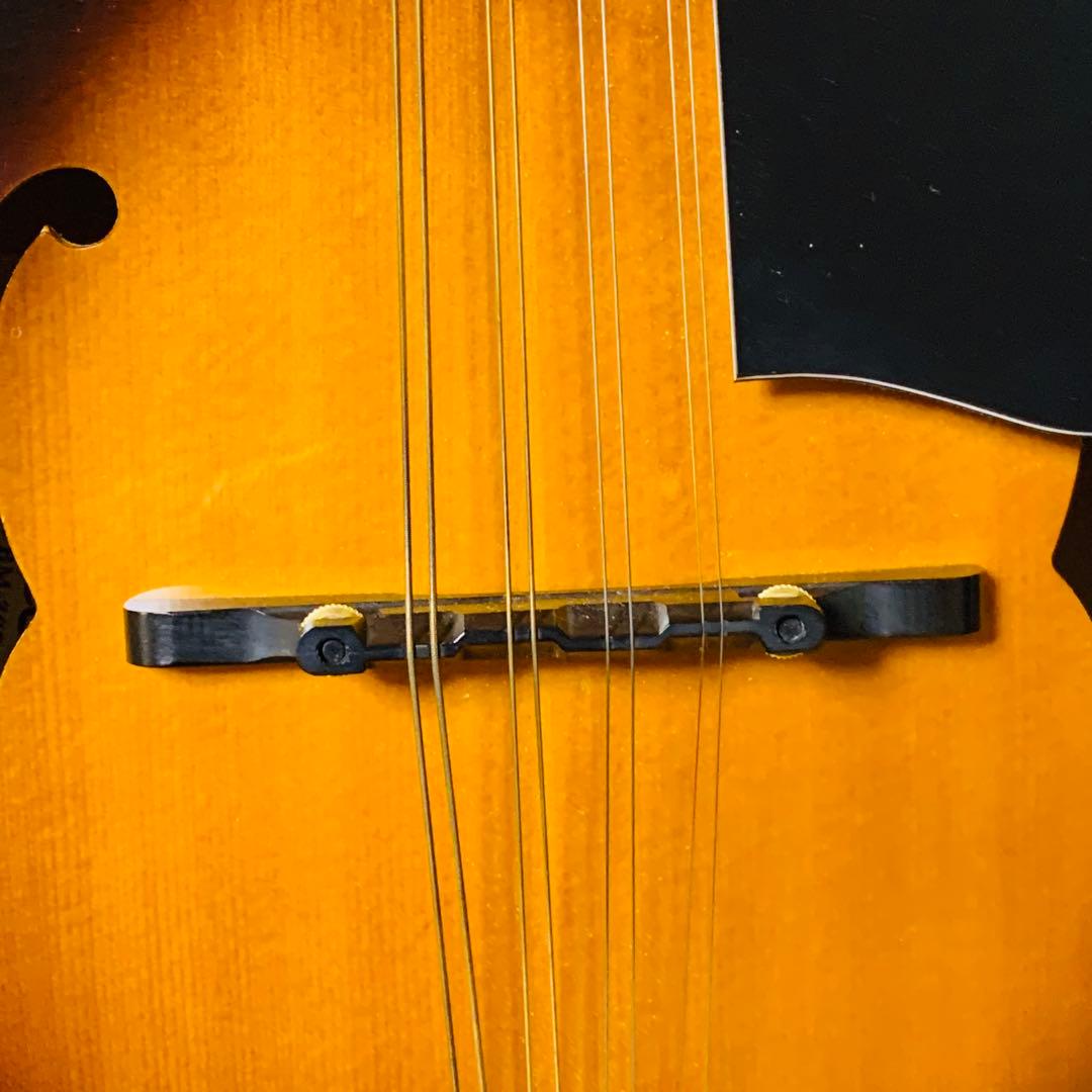 未使用級‼️Blantonマンドリン サンバースBM-30F純正セミハードケース付