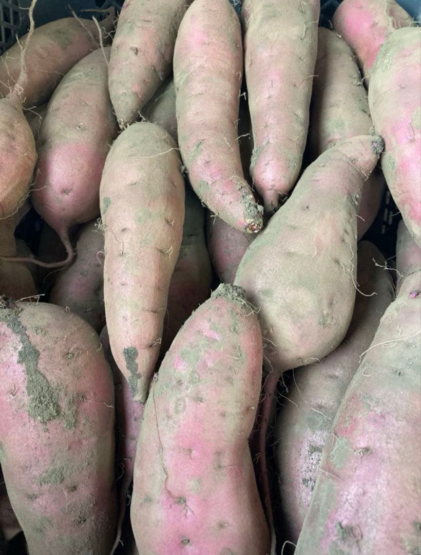 残り3個　訳あり　丸干し芋 生産農家だからできると〜てもお得‼️ な大箱売11kg