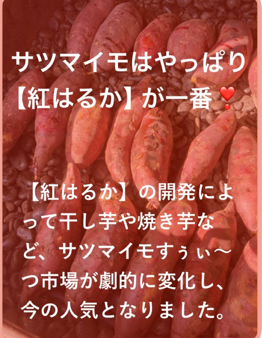 残り3個　訳あり　丸干し芋 生産農家だからできると〜てもお得‼️ な大箱売11kg