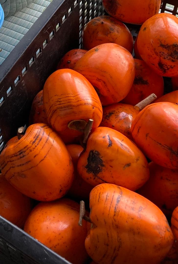 残り3個　訳あり　丸干し芋 生産農家だからできると〜てもお得‼️ な大箱売11kg