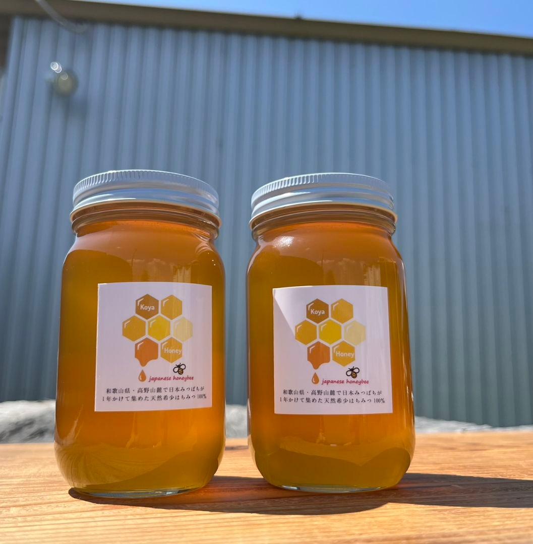 天然熟成2年　希少　日本蜜蜂 国産天然はちみつ100%600g(Y1S2箱)