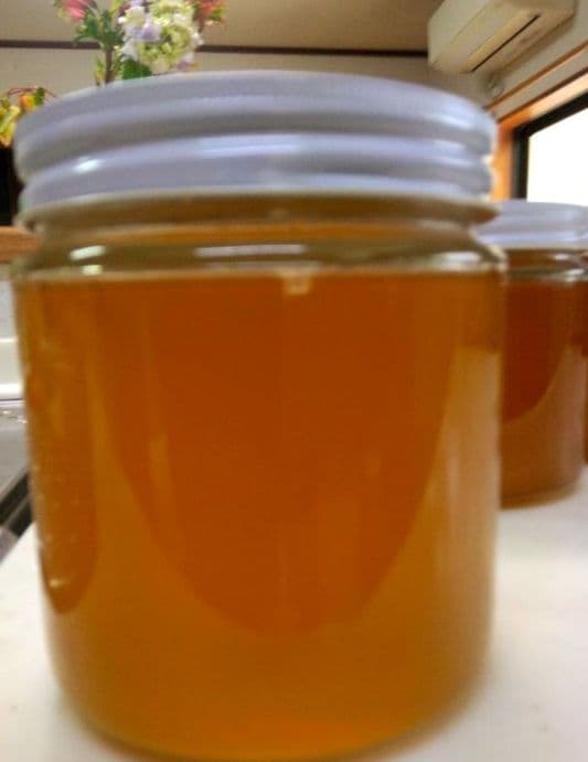 日本ミツバチ　2年蜜　天然蜂蜜（百花蜜)　　　　正味550g　2個入　1100g