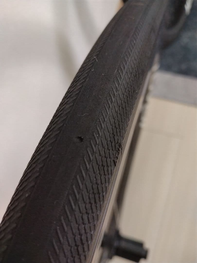 レ*丸様 Roval alpinist clxⅡ　 ホワイトロゴ