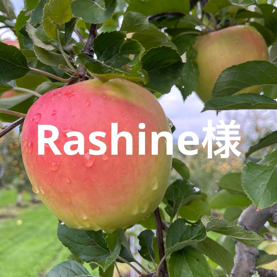 Rashineページ✨10kg
