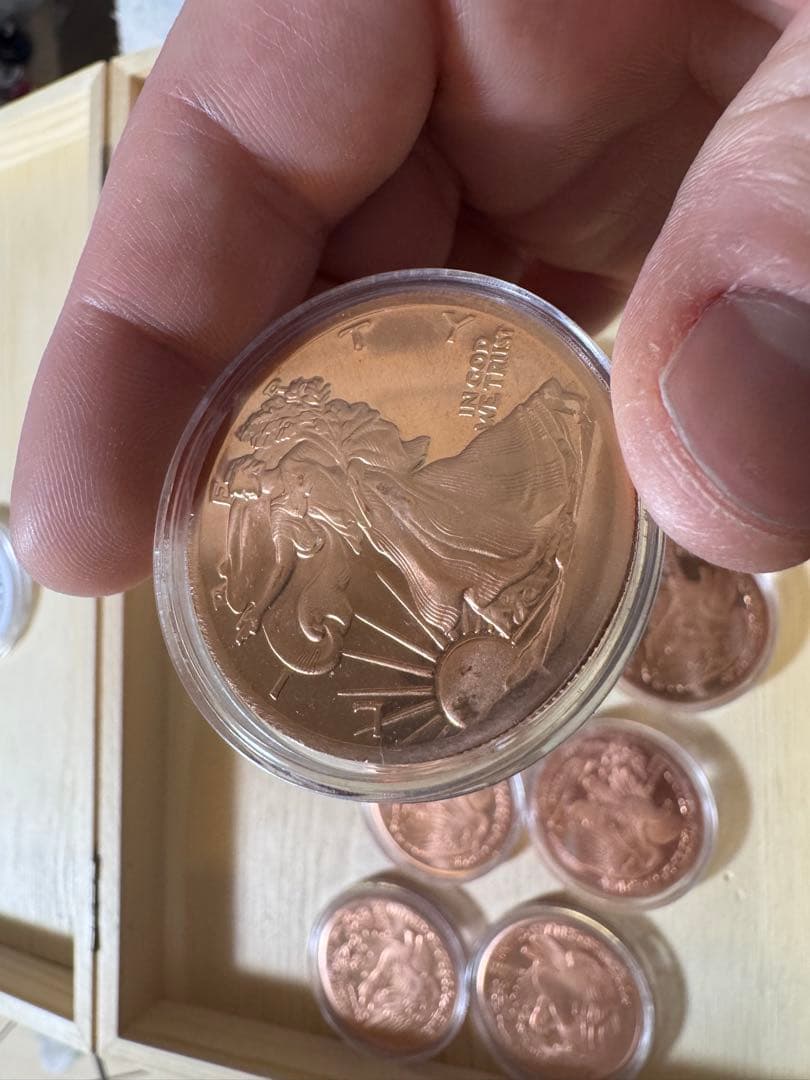 ウォーキングリバティ 銅製12枚セット