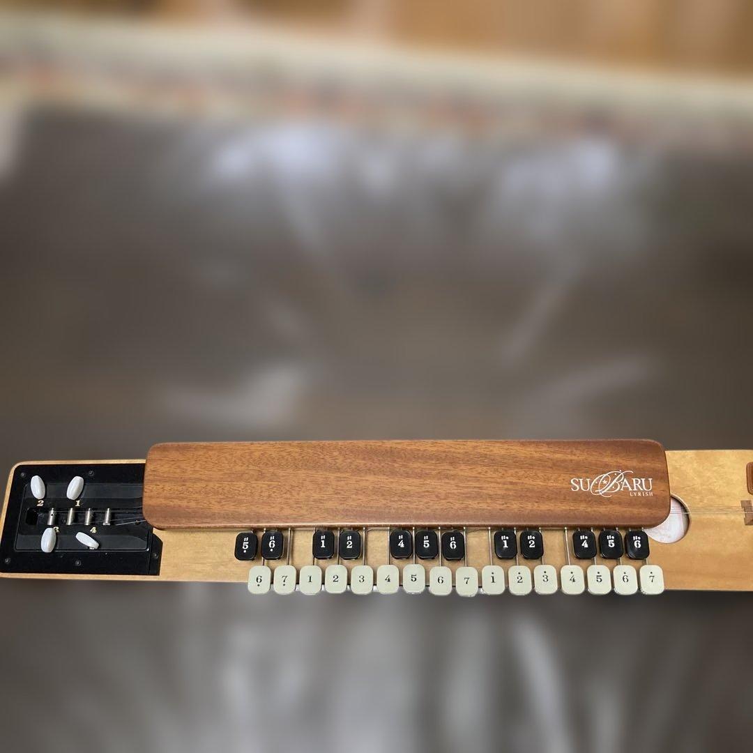 ライリッシュ 大正琴 専用ソフトケース付き