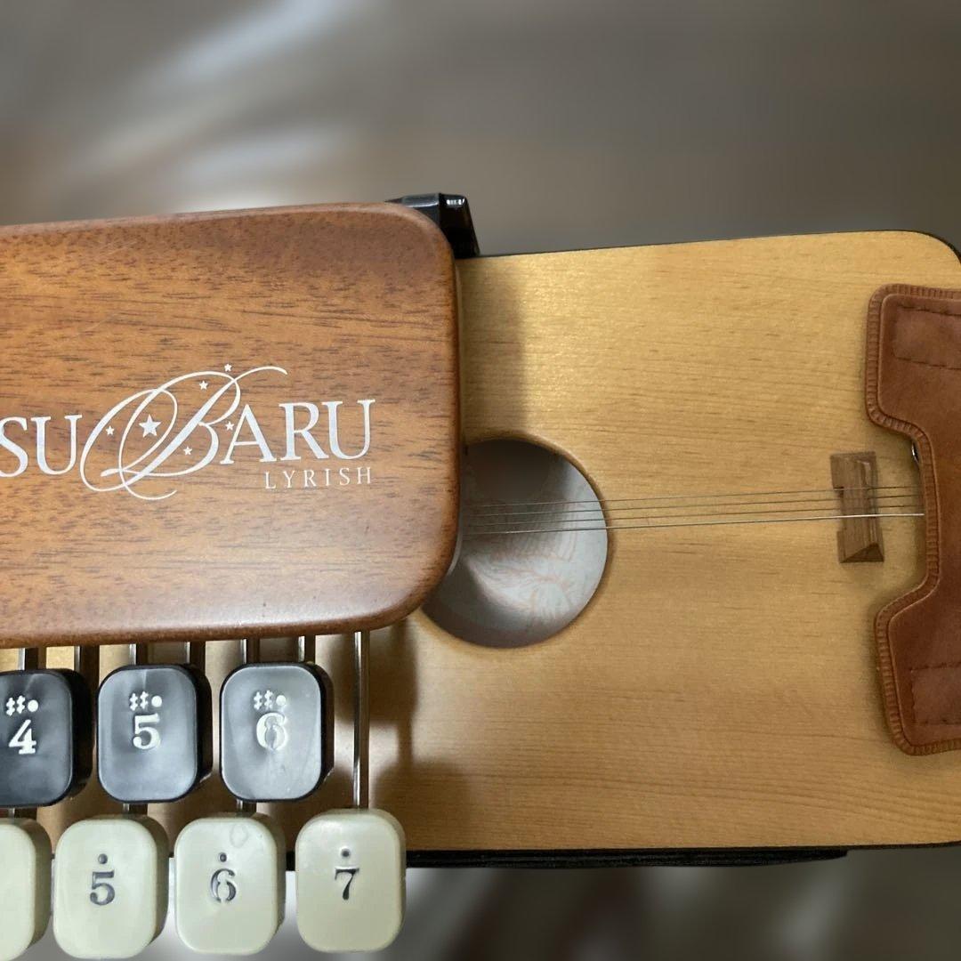 ライリッシュ 大正琴 専用ソフトケース付き