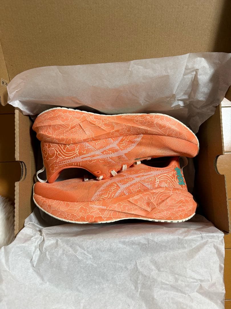 【東京マラソン2026限定】ノヴァブラスト5 TOKYO 27.5cm