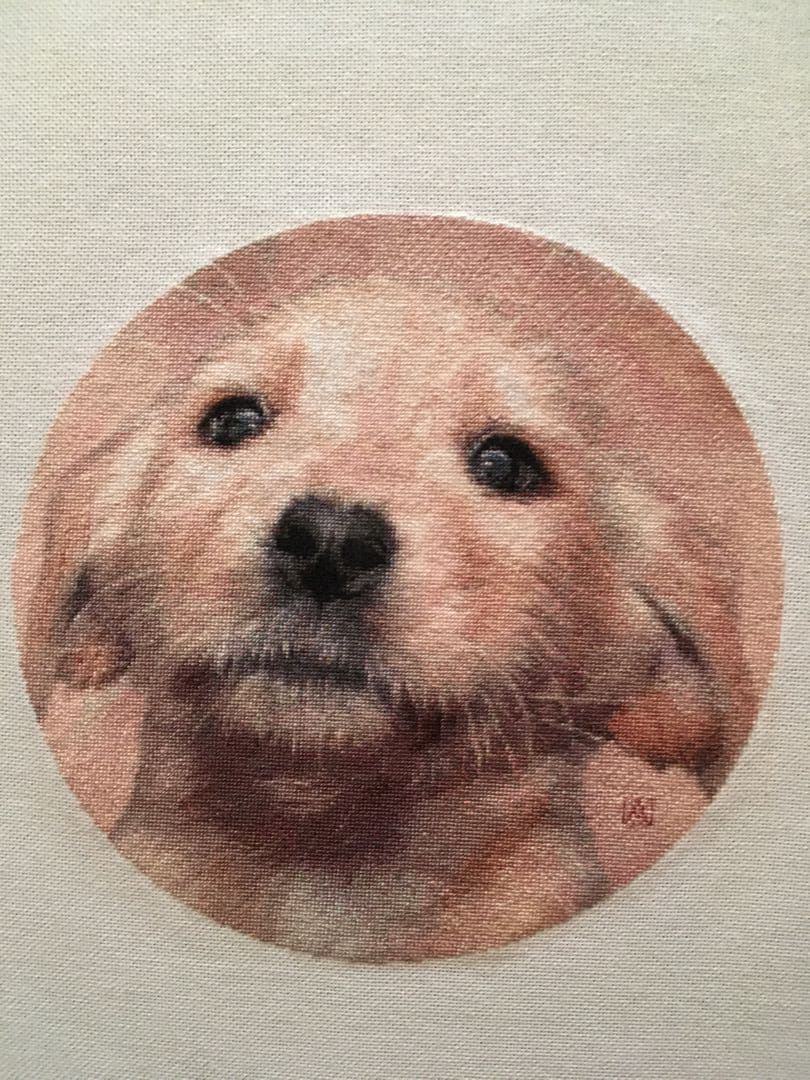 ラブラドールの仔犬　クロスステッチ刺繍完成品　(HAED社　25C) 額付き