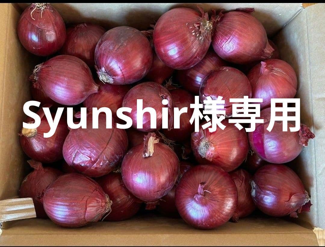 赤玉ねぎ S~Lサイズ 箱込み 20 キロ