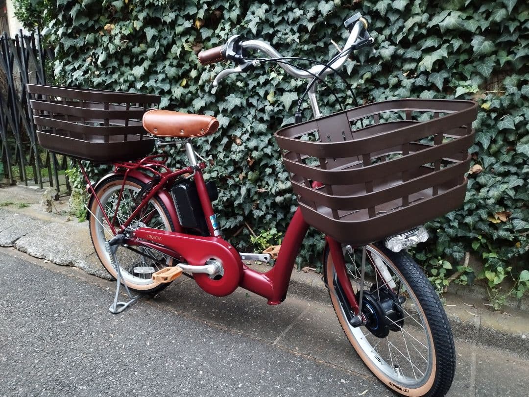 カラーコーデ フロンティア ラクット 20インチ ルビーレッド