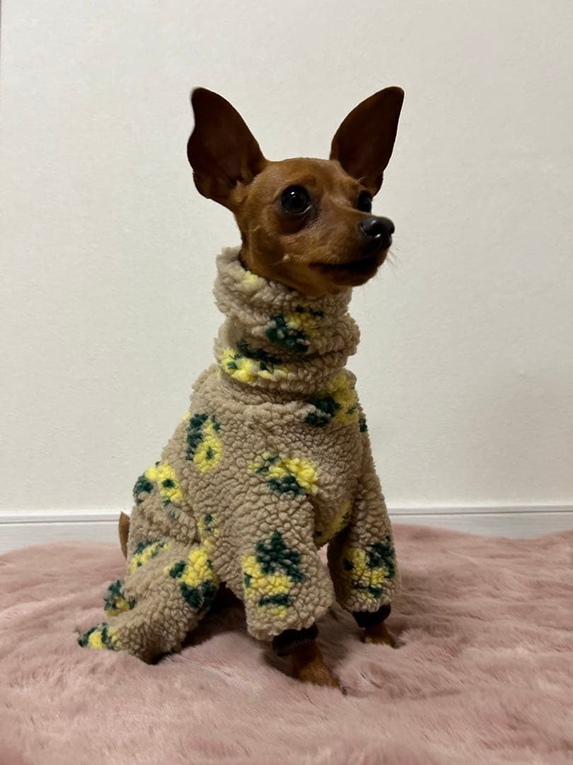 イタグレ服　ミニピン服　ベージュ花柄ボア