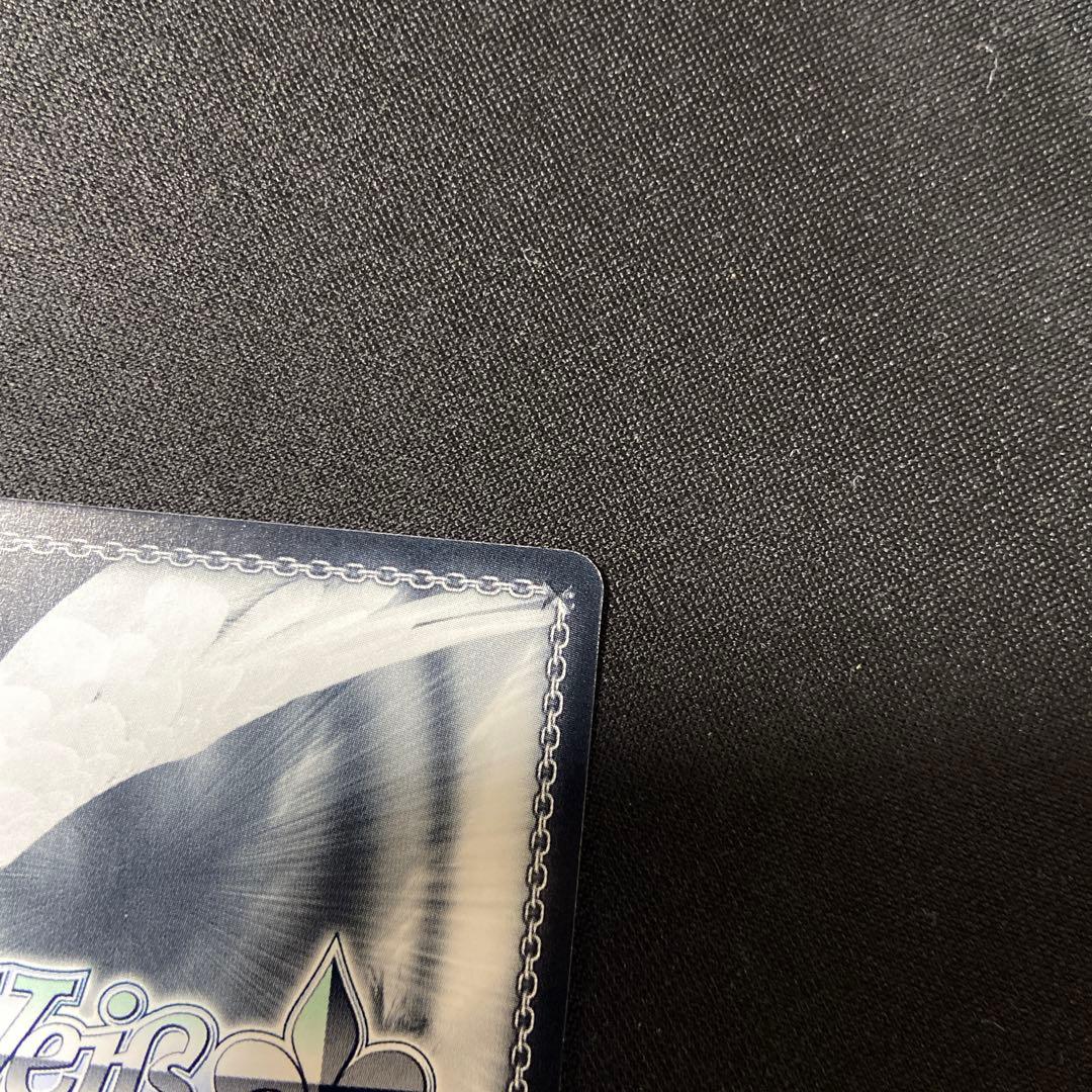 ヴァイス　アクセルワールド　黒雪姫　SP サイン