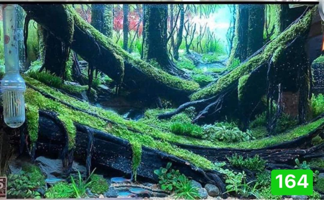 水槽用流木レイアウト 。水槽用流木アクアリウムレイアウト。水槽用流木 。盆栽流木