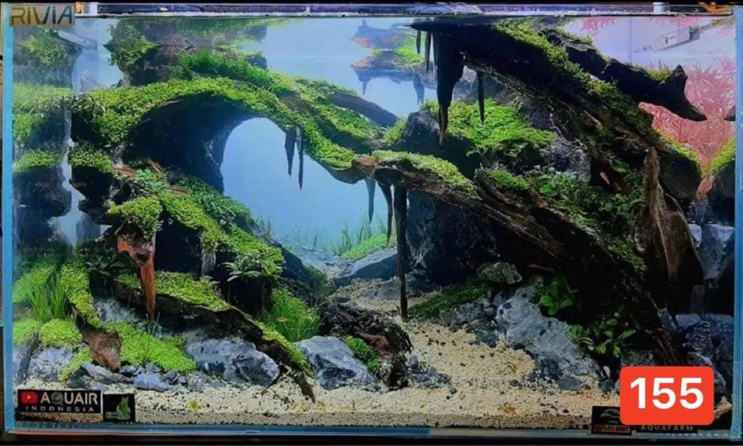 水槽用流木レイアウト 。水槽用流木アクアリウムレイアウト。水槽用流木 。盆栽流木