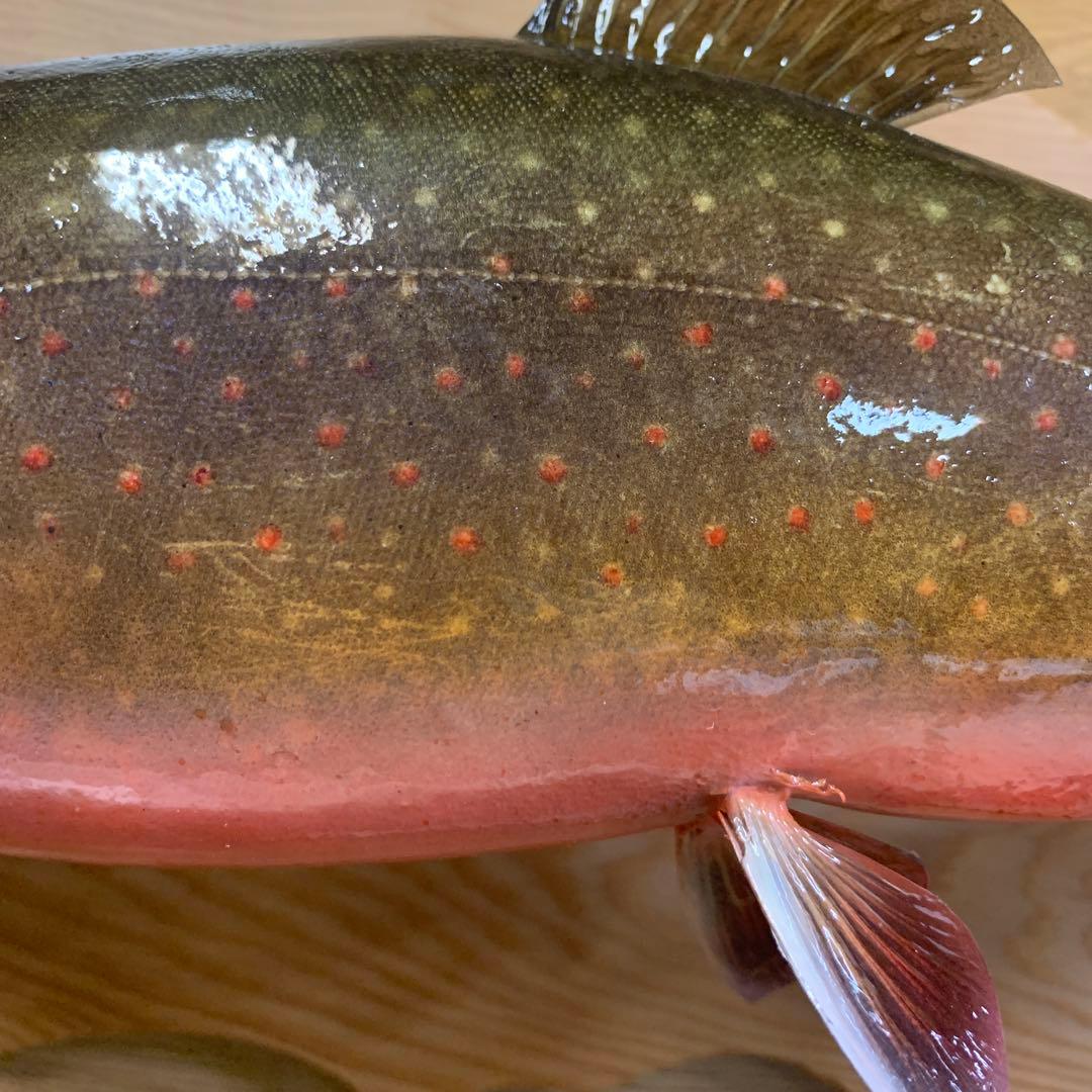 剥製　幅広ブルックトラウト三口シャクレ雄40センチ位 エフクラフト