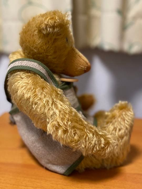 テディベア　シギキッド