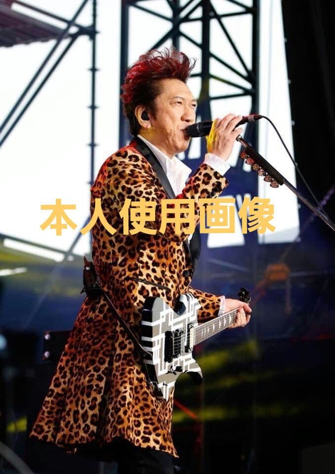 【良・美品】布袋/hideモデル・Gラインペイント。モッキンバードエレキギター。