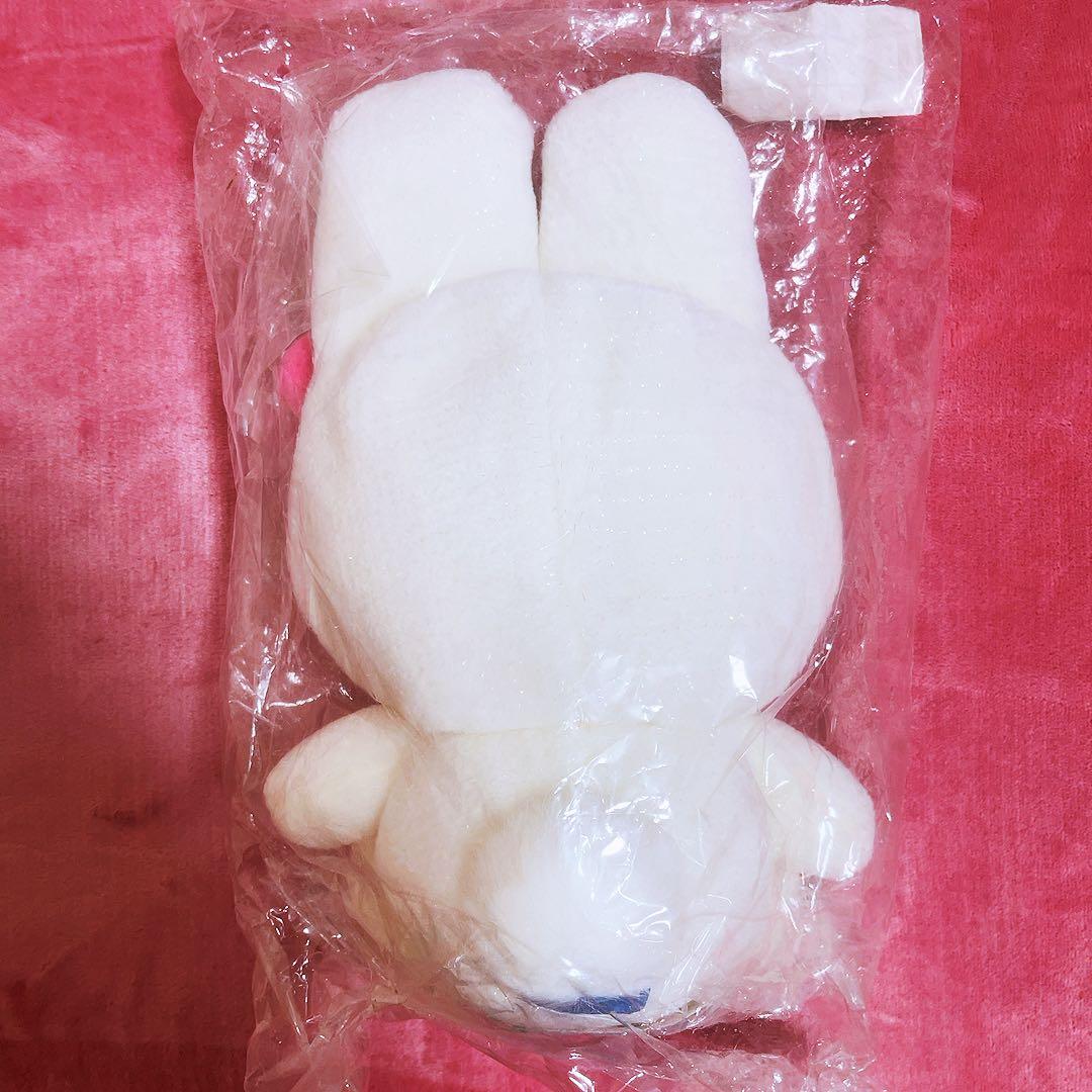 希少レア　ハローキティ　北海道　雪うさぎ　SM 2000年製 サンリオ　レトロ