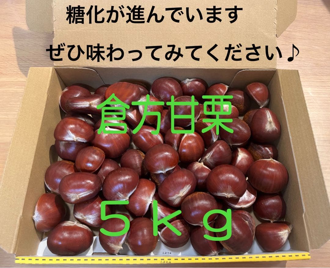 茨城県産　生栗　倉方甘栗　5キロ