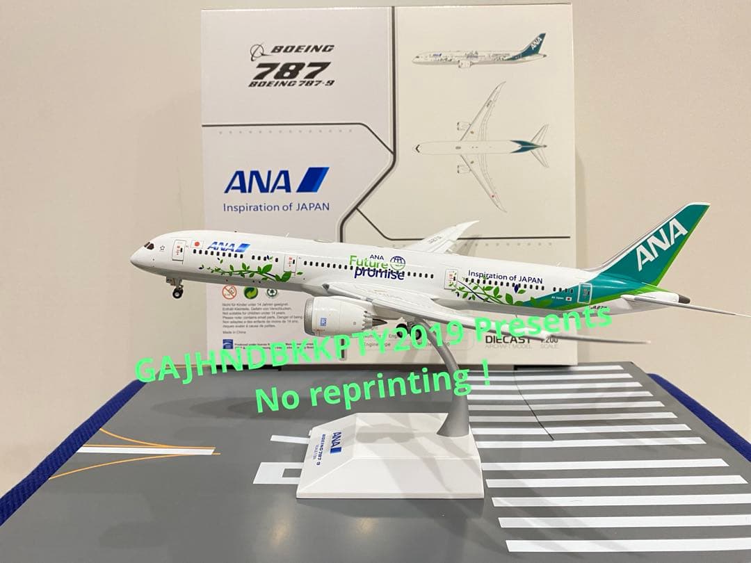 ANA 緑 B787-9 Green Jet 871Aフラップダウン 1/200