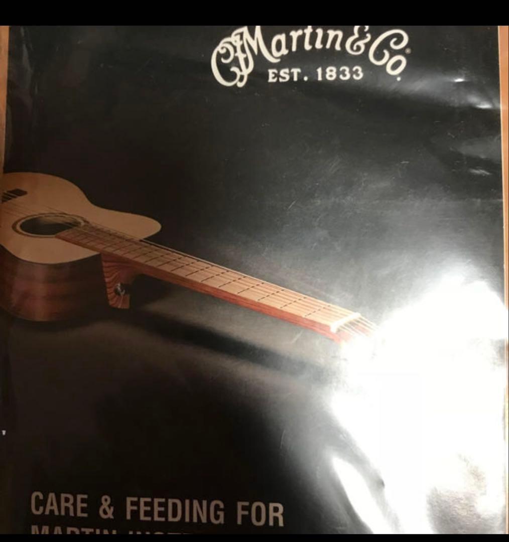 Martin & Co. LX2 Little Martin ギター