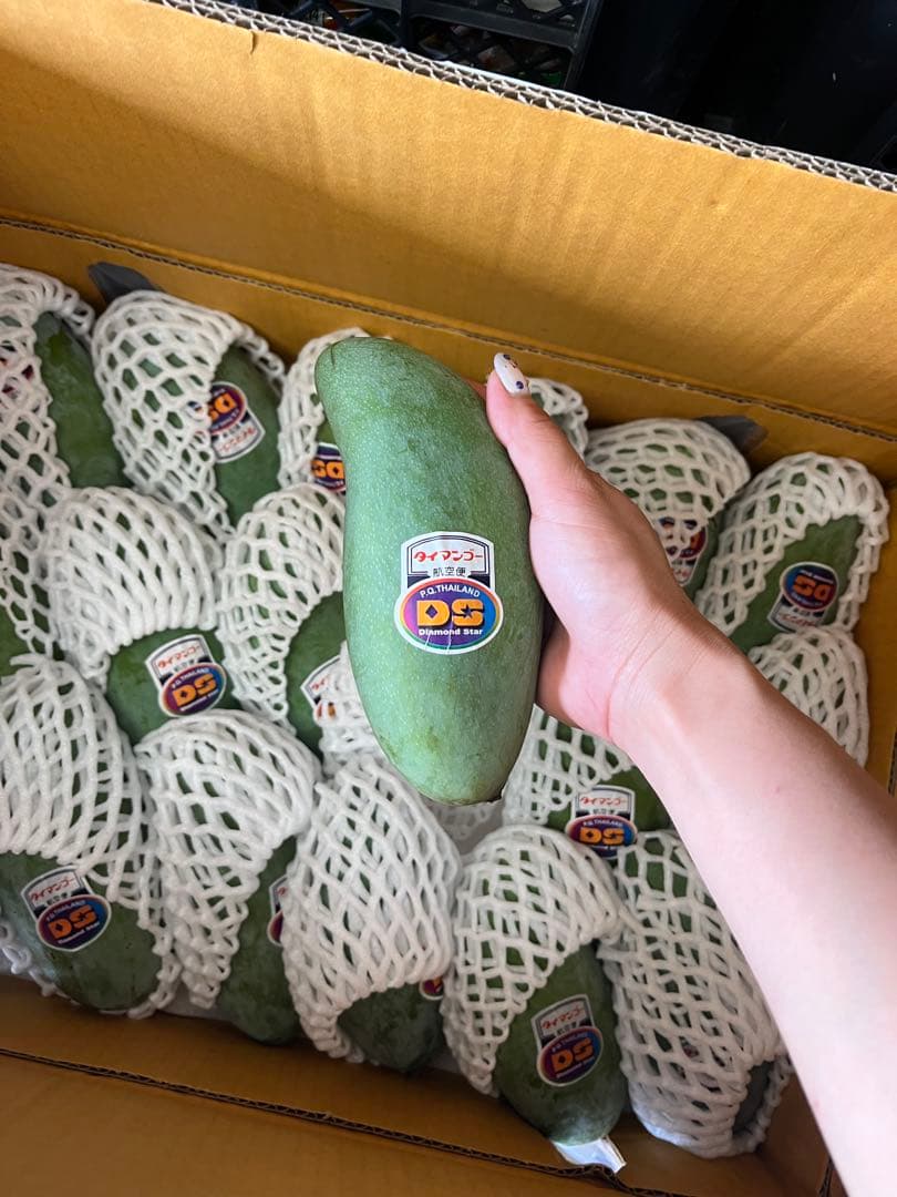 甘いグリーンマンゴー　12個　約5キロ　年末セール