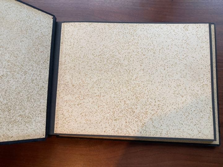 オルゴール付　アルバム