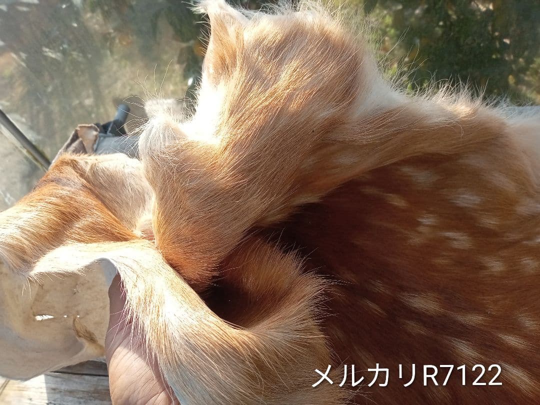 天然　日本鹿　夏毛ラグ