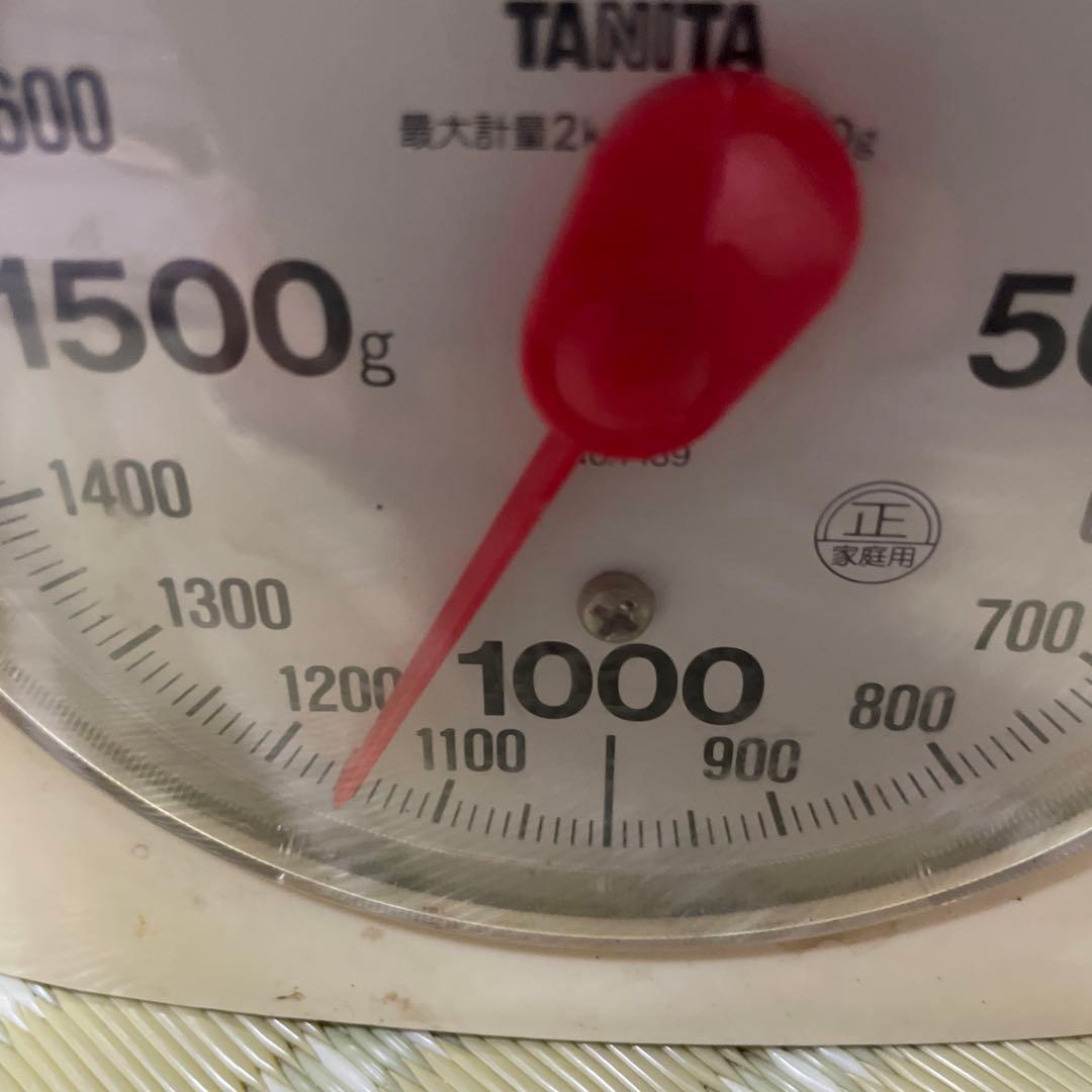 岩手県産マツタケ