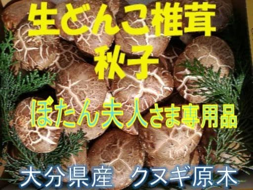 ぼたん夫人さまご予約専用 大分県特産 生どんこ椎茸「秋子」