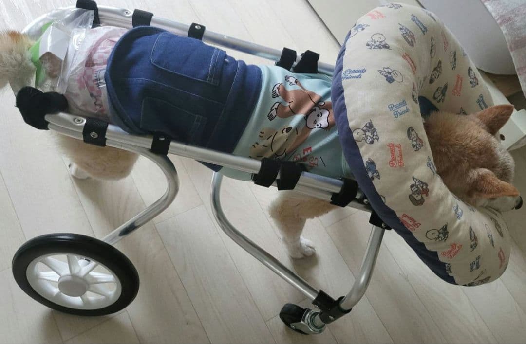 犬用車椅子(ポチの車イス)４輪 介護