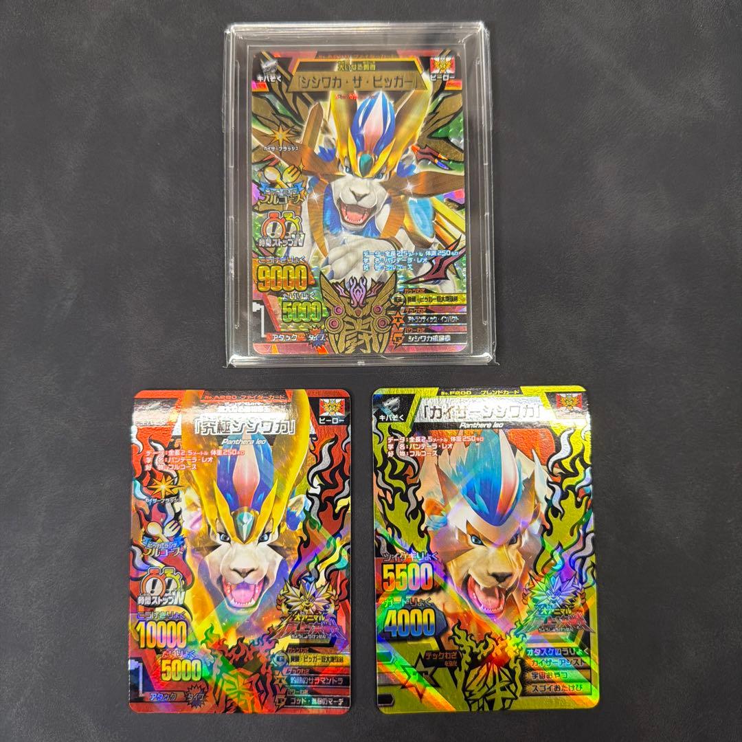 アニマルカイザー　シシワカ　究極レア　大会　3枚セット