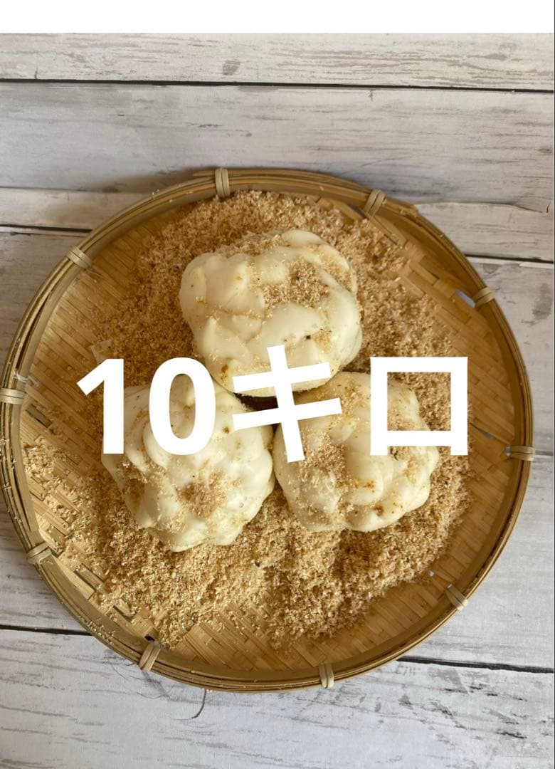 北海道十勝産 規格外ゆり根10キロ