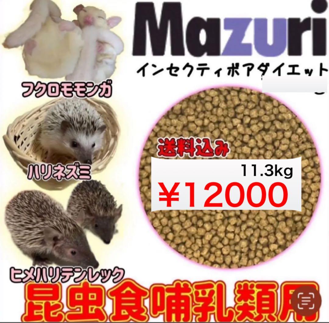 【終売特価】【1月30まで】Mazuri インセクティボアダイエット11.3kg