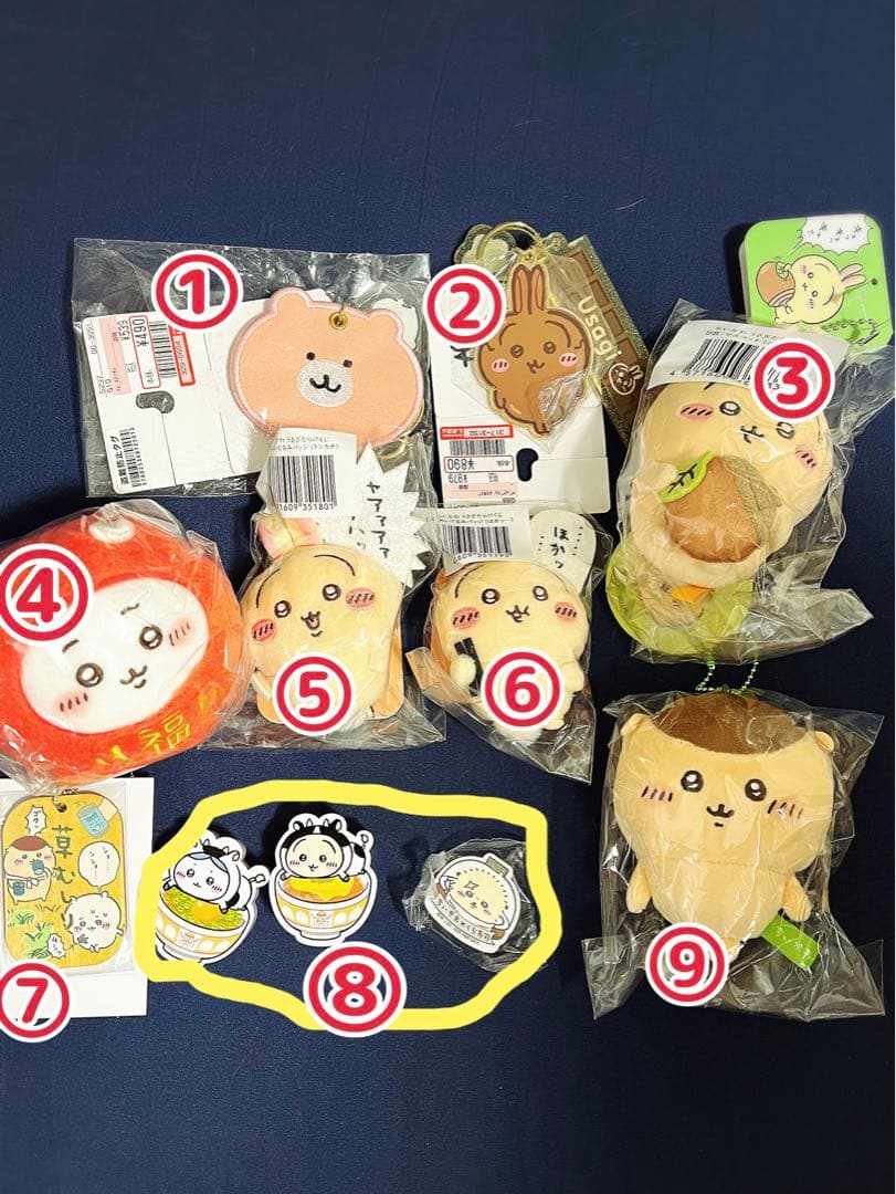 【お値下げ致しました✨】 たぬきだもんくじ　A賞2点セット！ 選べるおまけ付き✨