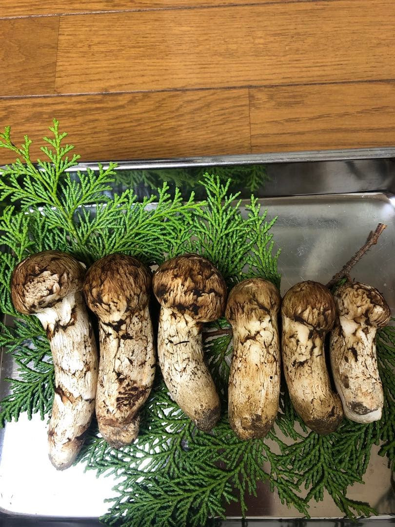 信州産　天然松茸